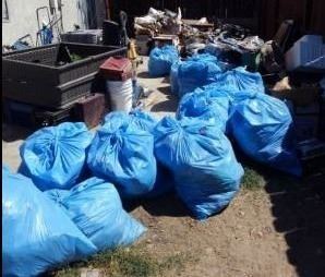 15651 Monica (before)_300