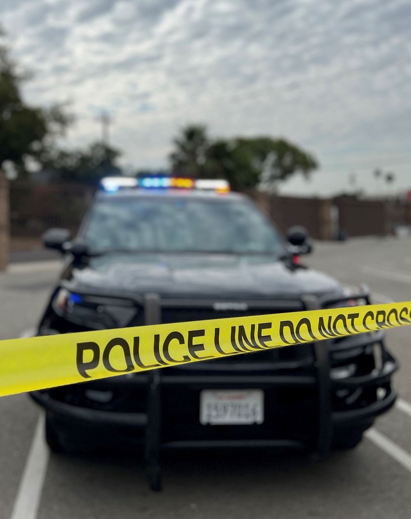 86ECE6AB-F95C-4EC0-AD48-C59213D94758